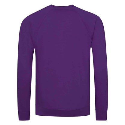 Purple - Back - Awdis Childrens-Kids Academy Raglan Sweatshirt