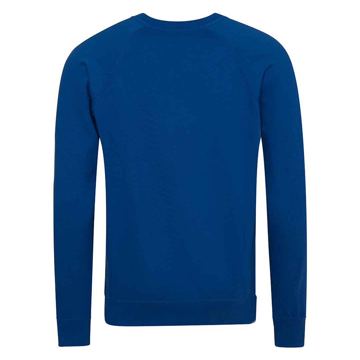 Royal Blue - Back - Awdis Childrens-Kids Academy Raglan Sweatshirt