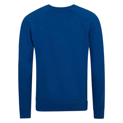 Royal Blue - Back - Awdis Childrens-Kids Academy Raglan Sweatshirt