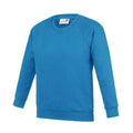 Sapphire Blue - Front - Awdis Childrens-Kids Academy Raglan Sweatshirt