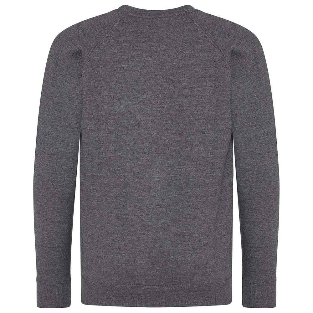 Charcoal - Back - Awdis Childrens-Kids Academy Raglan Sweatshirt