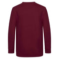Burgundy - Back - Awdis Childrens-Kids Academy V Neck Sweatshirt