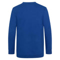 Deep Royal Blue - Back - Awdis Childrens-Kids Academy V Neck Sweatshirt
