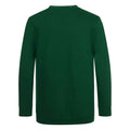 Green - Back - Awdis Childrens-Kids Academy V Neck Sweatshirt