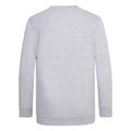 Grey - Back - Awdis Childrens-Kids Academy V Neck Sweatshirt