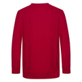 Red - Back - Awdis Childrens-Kids Academy V Neck Sweatshirt