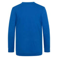Royal Blue - Back - Awdis Childrens-Kids Academy V Neck Sweatshirt