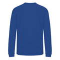 Deep Royal Blue - Back - Awdis Childrens-Kids Academy V Neck Sweatshirt