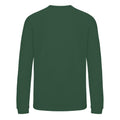 Green - Back - Awdis Childrens-Kids Academy V Neck Sweatshirt