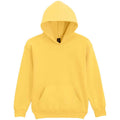 Daisy - Front - Gildan Childrens-Kids Softstyle Plain Midweight Hoodie