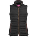 Black - Front - Brook Taverner Womens-Ladies Madison Quilted Gilet