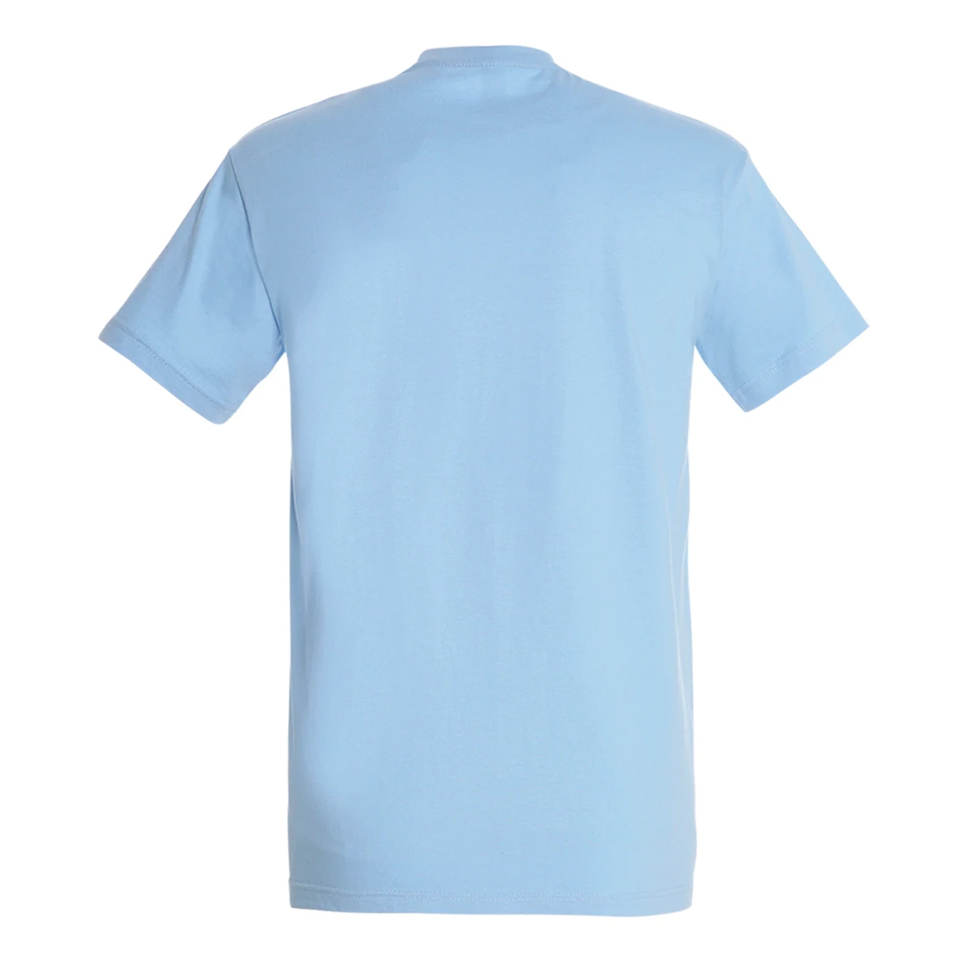 Sky Blue - Back - SOLS Unisex Adult Imperial Heavy T-Shirt