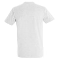 Ash - Back - SOLS Unisex Adult Imperial Heavy T-Shirt