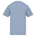 Sky Blue - Back - Awdis Unisex Adult Cotton T-Shirt