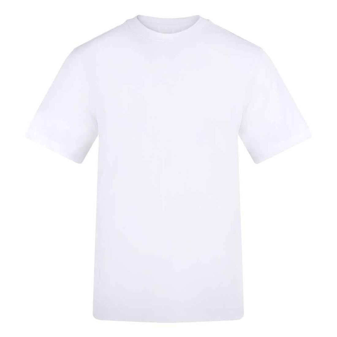 Arctic White - Front - Awdis Unisex Adult Cotton T-Shirt