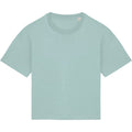 Jade Green - Front - Native Spirit Womens-Ladies Oversized T-Shirt