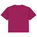 Cherry Purple - Back - Native Spirit Womens-Ladies Oversized T-Shirt