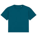Peacock Green - Front - Native Spirit Womens-Ladies Oversized T-Shirt