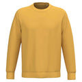 Sun Yellow - Front - Native Spirit Unisex Adult Crew Neck Sweatshirt