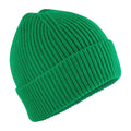 Kelly Green - Front - Beechfield Childrens-Kids Fashion Beanie
