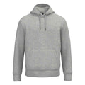 Moon Grey Heather - Front - Native Spirit Unisex Adult Hoodie