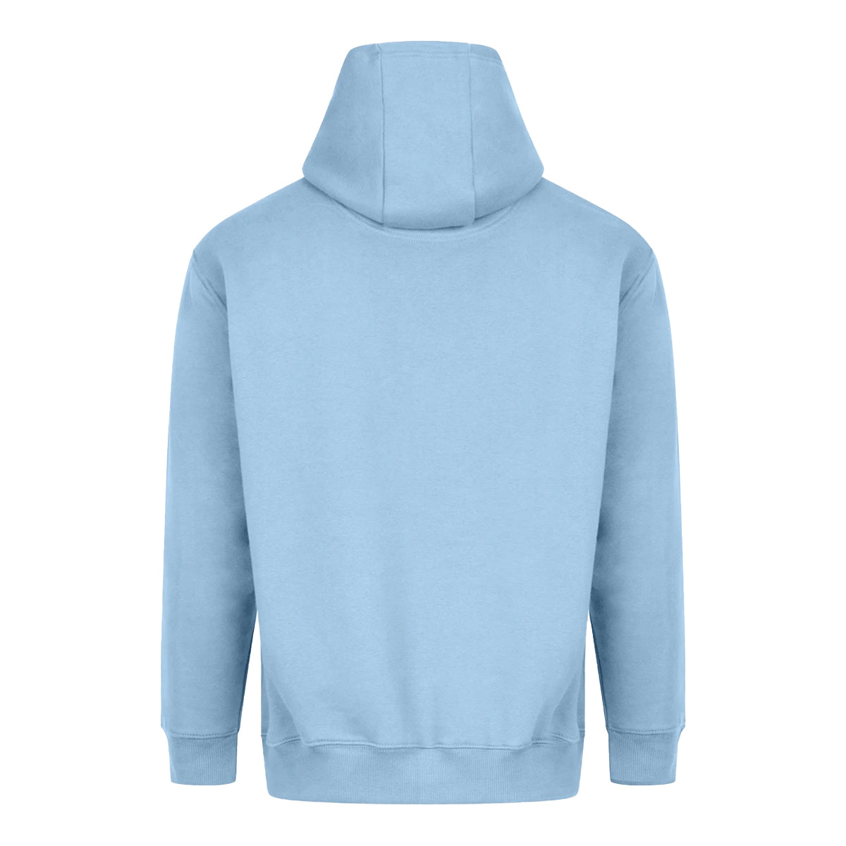 Ice Blue - Back - Awdis Unisex Adult Vision Heavyweight Hoodie