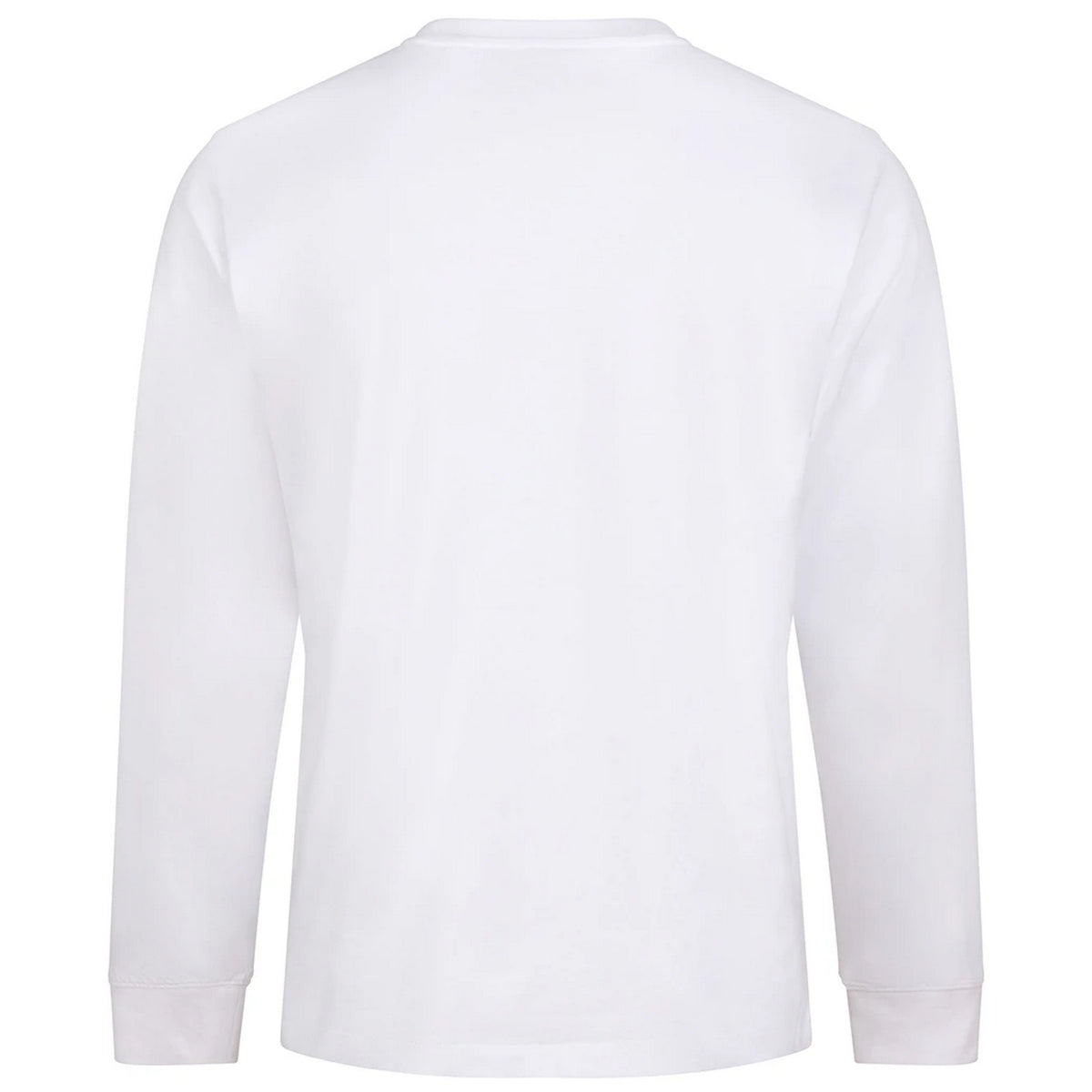 Arctic White - Back - Awdis Unisex Adult Long-Sleeved T-Shirt