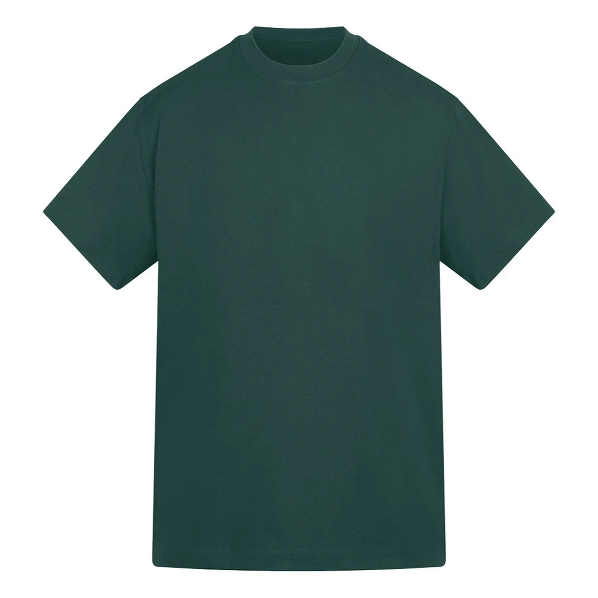 Petrol - Front - Anthem Unisex Adult Amplify Heavyweight T-Shirt