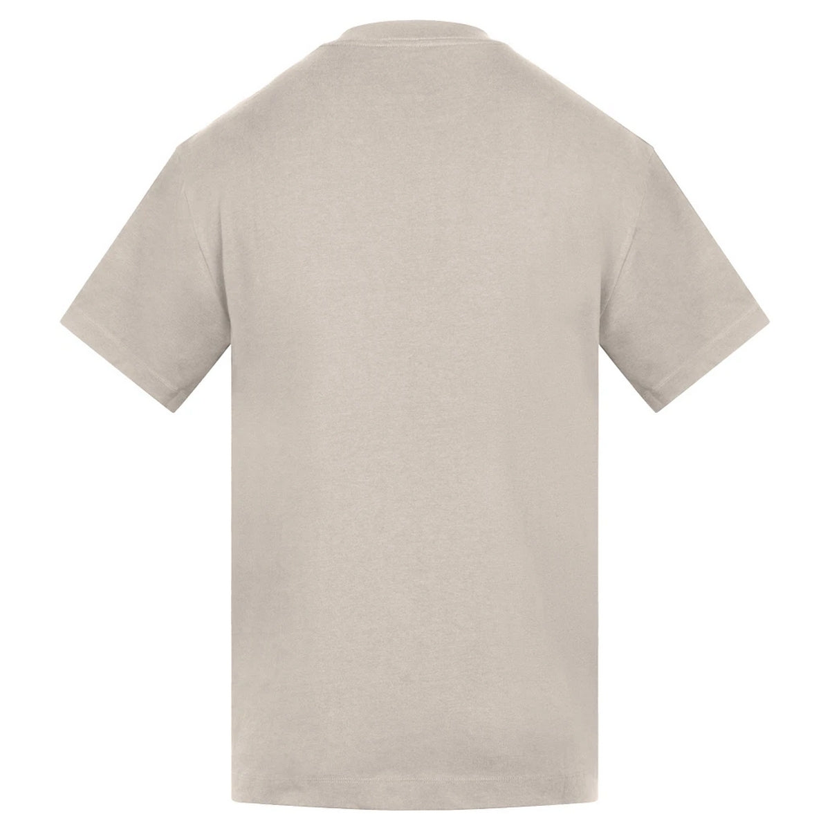 Stone - Back - Anthem Unisex Adult Amplify Heavyweight T-Shirt