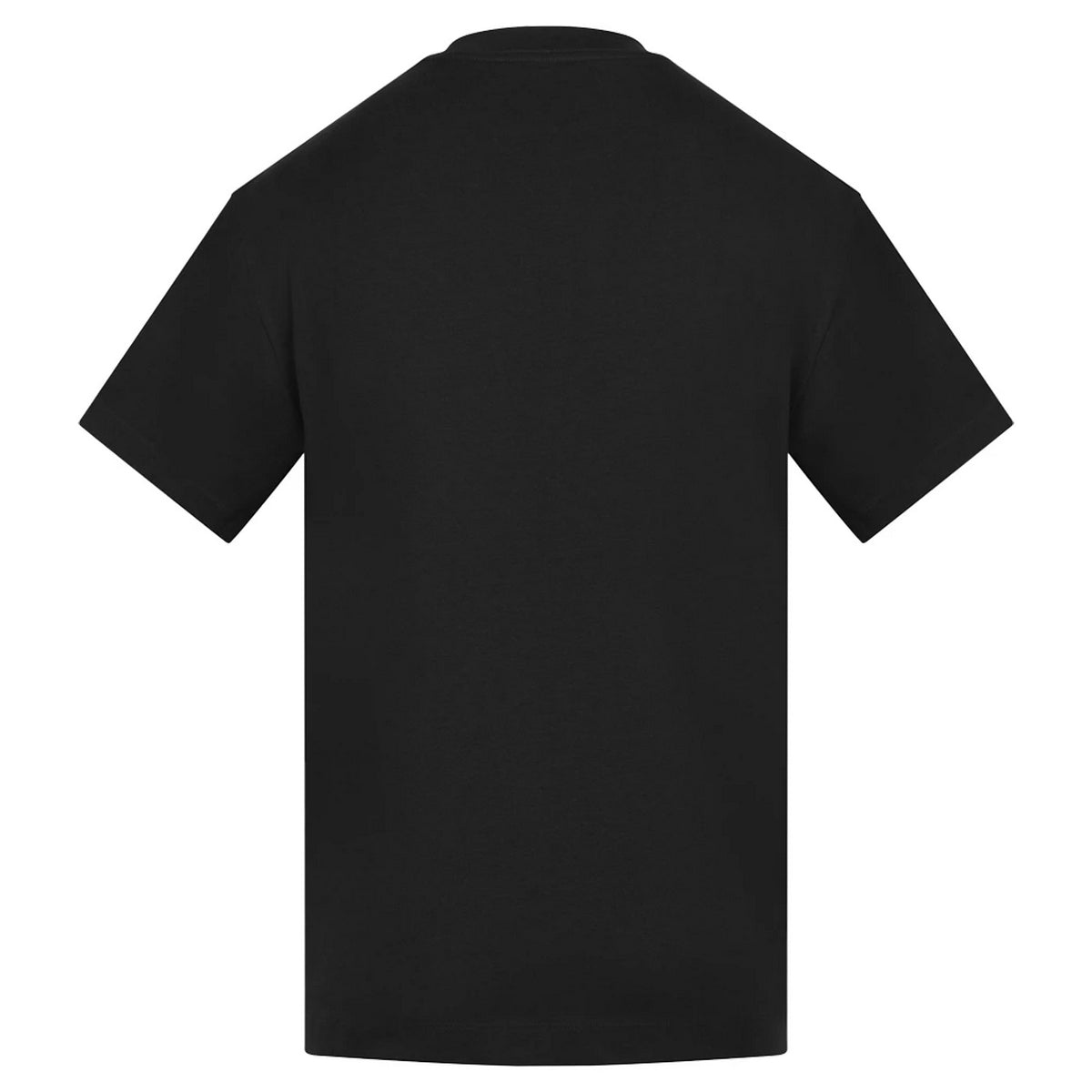 Black - Back - Anthem Unisex Adult Amplify Heavyweight T-Shirt
