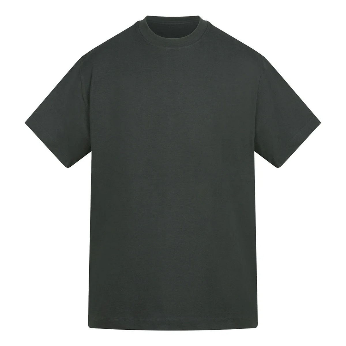 Carbon - Front - Anthem Unisex Adult Amplify Heavyweight T-Shirt