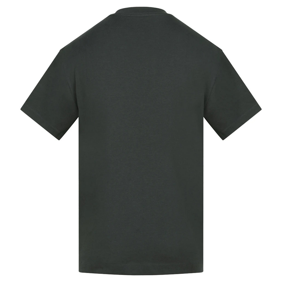 Carbon - Back - Anthem Unisex Adult Amplify Heavyweight T-Shirt
