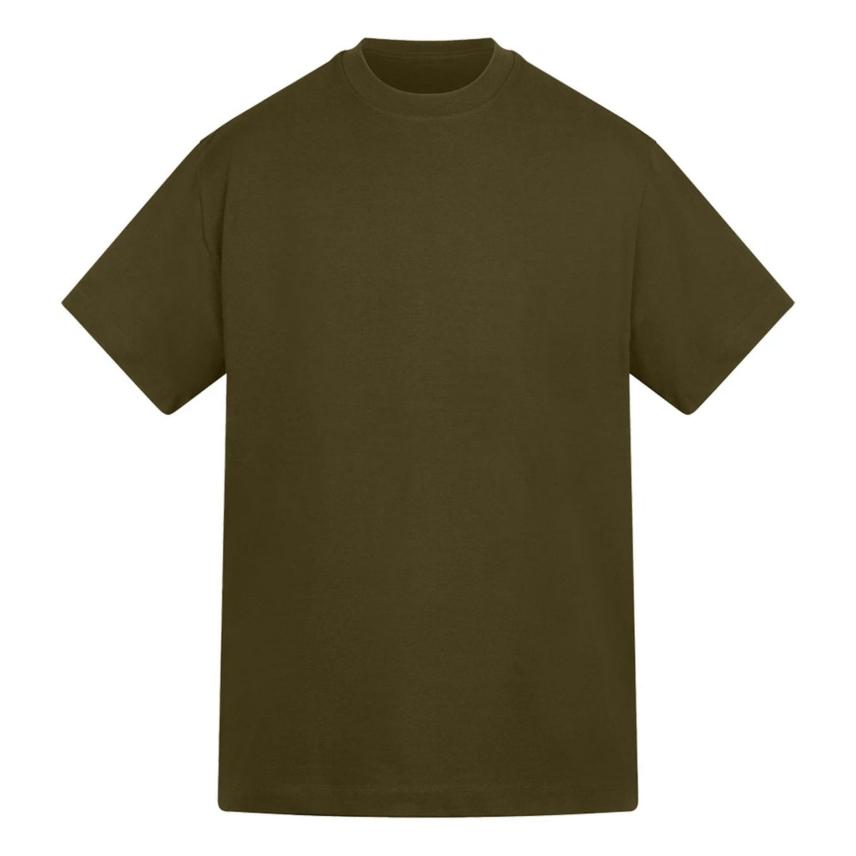 Khaki Green - Front - Anthem Unisex Adult Amplify Heavyweight T-Shirt