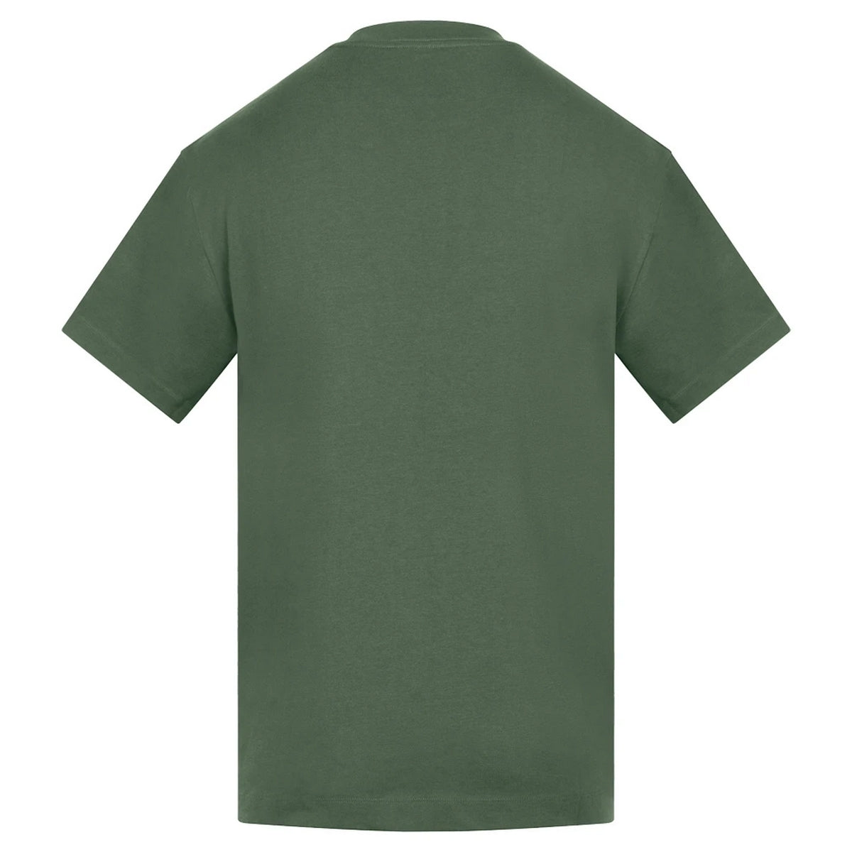 Mist Green - Back - Anthem Unisex Adult Amplify Heavyweight T-Shirt