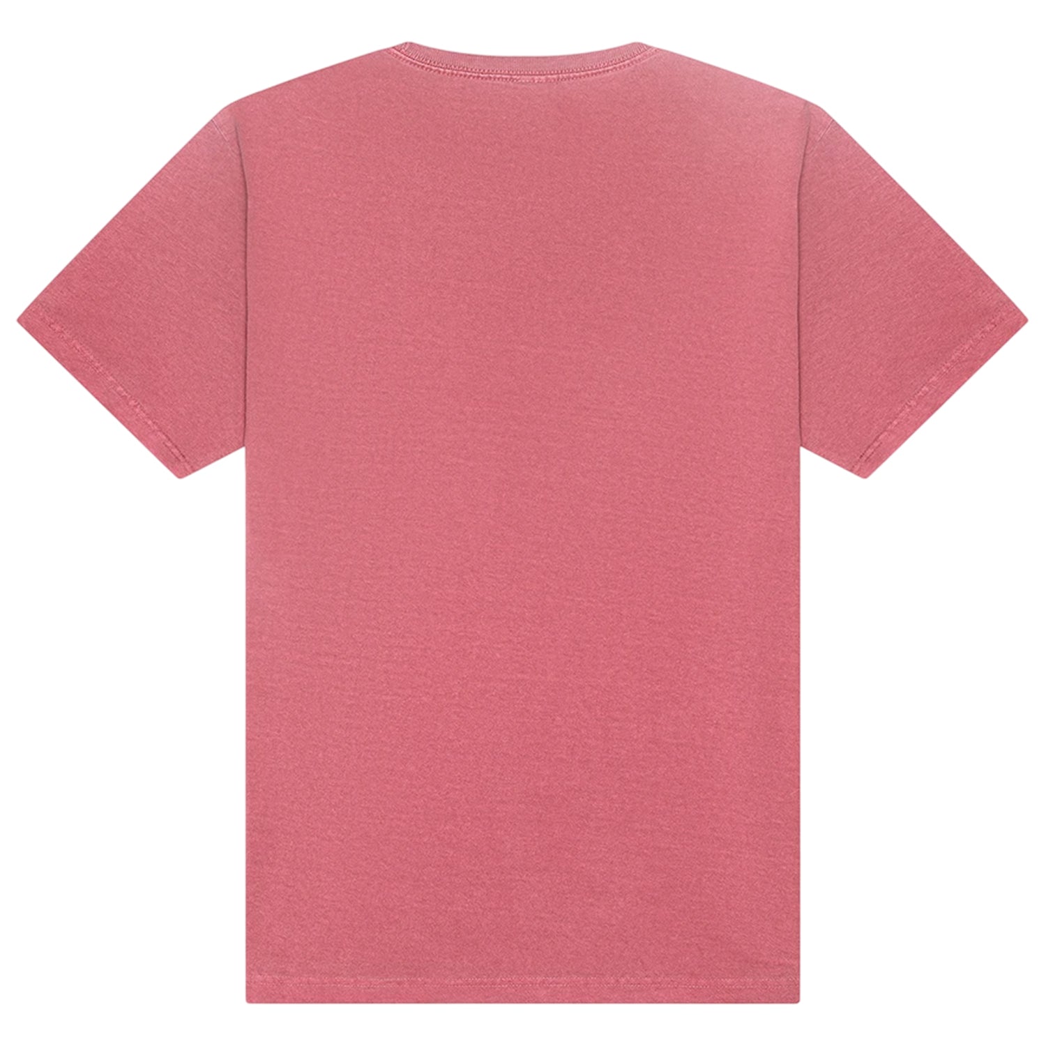 Washed Red - Back - Bella + Canvas Unisex Adult Washed Canvas Heavyweight T-Shirt