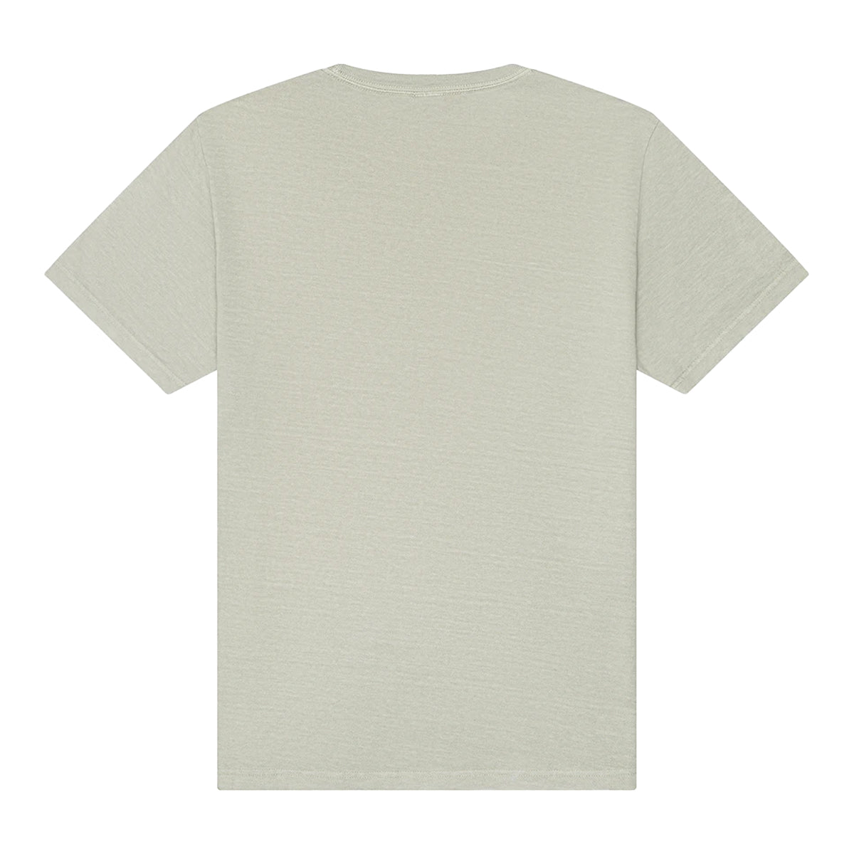 Washed Thyme - Back - Bella + Canvas Unisex Adult Washed Canvas Heavyweight T-Shirt