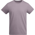 Lavender - Front - Roly Mens Breda Plain T-Shirt