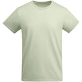 Mist Green - Front - Roly Mens Breda Plain T-Shirt