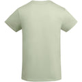Mist Green - Back - Roly Mens Breda Plain T-Shirt
