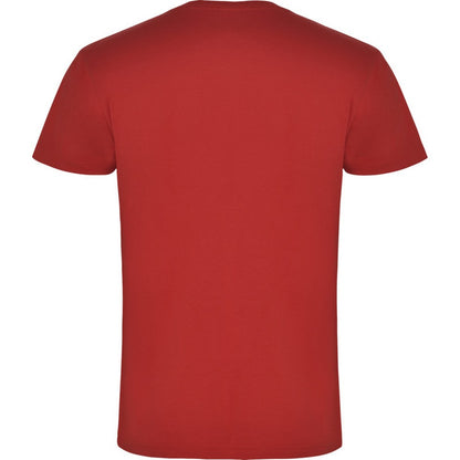 Red - Back - Roly Mens Samoyedo V Neck T-Shirt