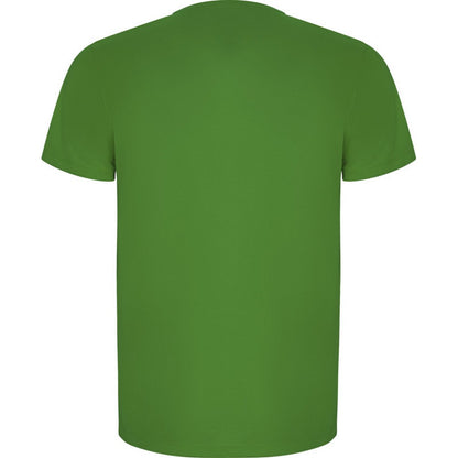 Fern Green - Back - Roly Mens Imola Short-Sleeved Sports T-Shirt