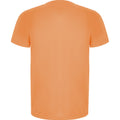 Fluro Orange - Back - Roly Mens Imola Short-Sleeved Sports T-Shirt