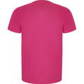 Fluro Pink - Back - Roly Mens Imola Short-Sleeved Sports T-Shirt