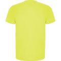 Fluro Yellow - Back - Roly Mens Imola Short-Sleeved Sports T-Shirt