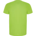 Lime Green - Back - Roly Mens Imola Short-Sleeved Sports T-Shirt