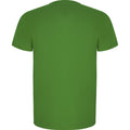 Fern Green - Back - Roly Mens Imola Short-Sleeved Sports T-Shirt
