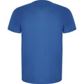 Royal Blue - Back - Roly Mens Imola Short-Sleeved Sports T-Shirt