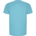 Turquoise - Back - Roly Mens Imola Short-Sleeved Sports T-Shirt