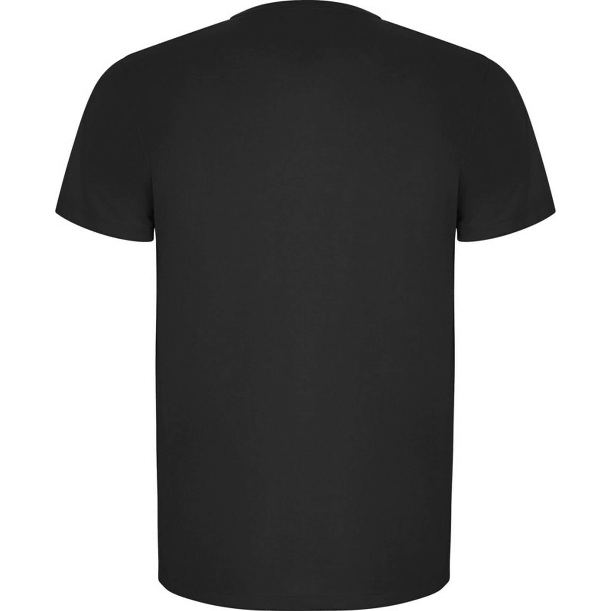 Dark Lead - Back - Roly Mens Imola Short-Sleeved Sports T-Shirt