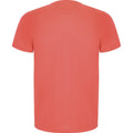 Fluorescent Coral - Back - Roly Mens Imola Short-Sleeved Sports T-Shirt